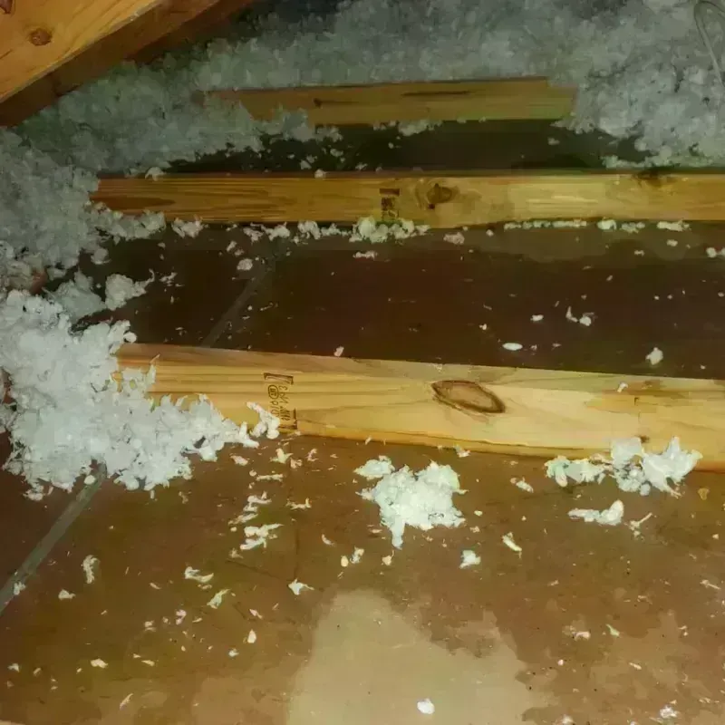 Attic Water Damage in Millis-Clicquot, MA